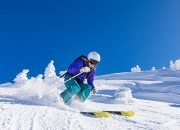 莱万多夫斯基重返赛场，夺冠首场状态出色，塞尔维亚队观众沸腾！气势如虹延续